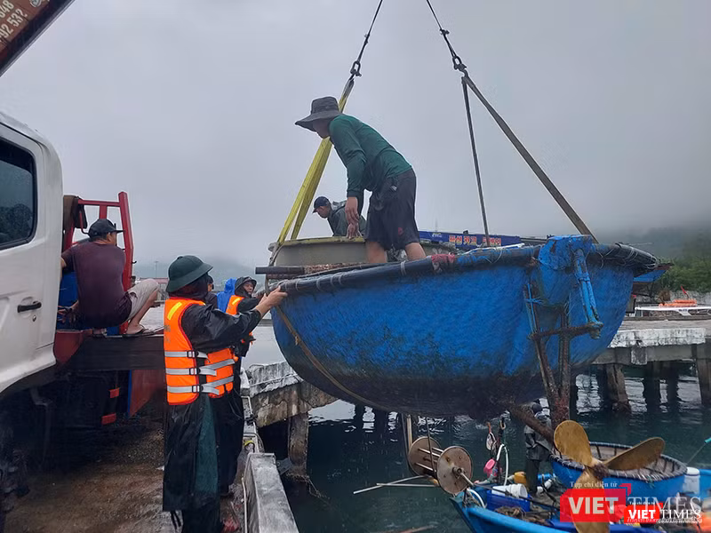 vt_ung pho bao 6.png