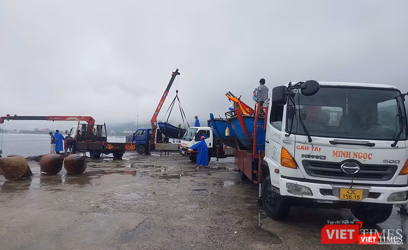 vt_ung pho bao 5.png