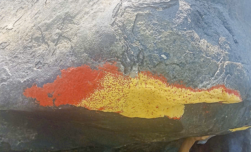 Lớp “hoa” đỏ xuất hiện trên tảng đá ở Thạnh Bình (Đà Nẵng) không phải địa y mà có thể là trứng của một loài bướm đêm. Ảnh Xuân Tiện