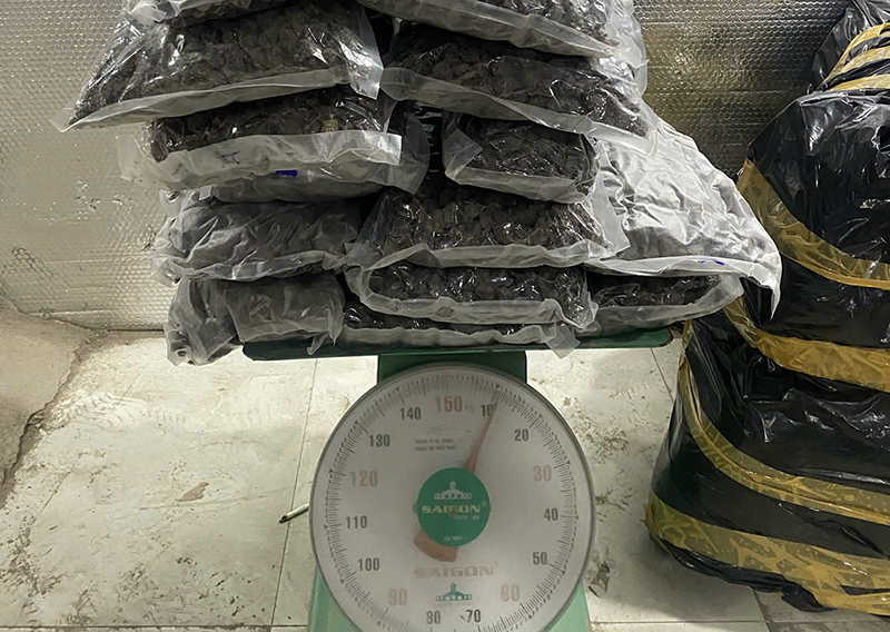 Tang vật thu giữ là thảo mộc khô nghi là ma túy loại cần sa của đường dây mua bán ma tuý bằng tiền điện tử qua mạng xã hội do vợ chồng Nam và Vọng tổ chức.