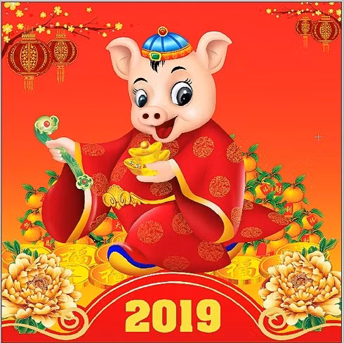 (ảnh minh họa: Internet)