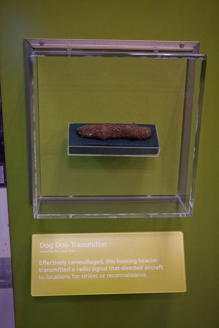 (ảnh: Jared eberhardt/Flickr)