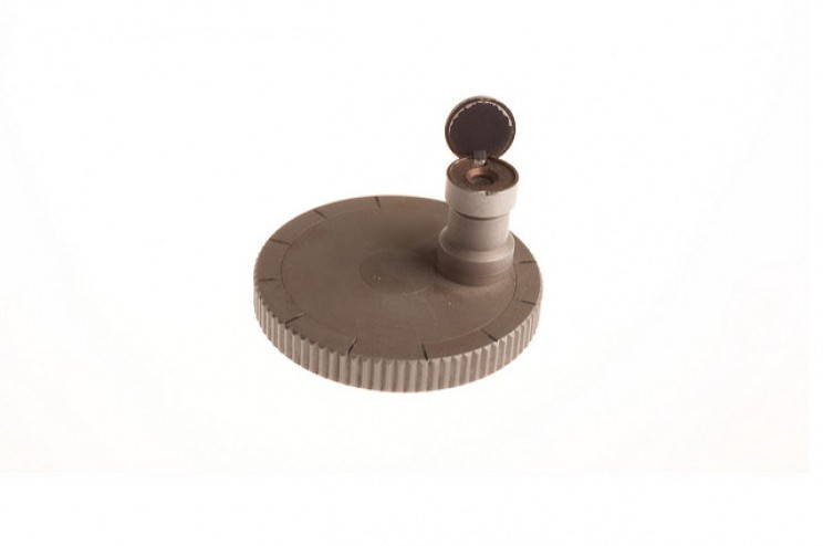 (ảnh: Wikimedia Commons)