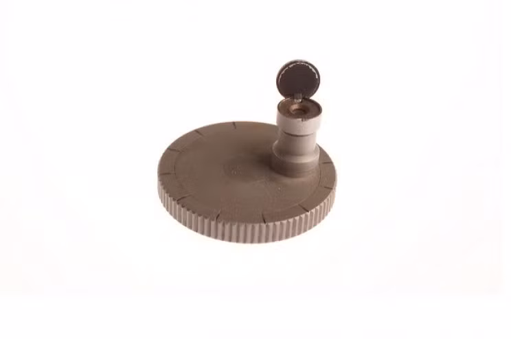 (ảnh: Wikimedia Commons)