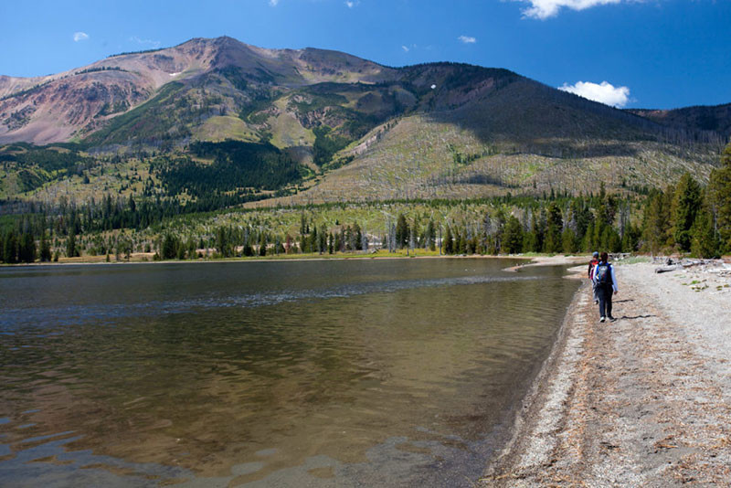 Tìm ra vi khuẩn “ăn ô nhiễm”, phát ra điện - 2