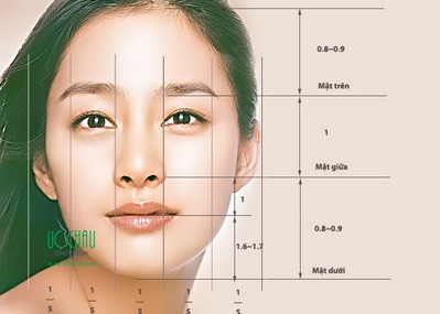 Mặt người được phân tích để phục vụ việc vẽ. (Hình ảnh do Hoalan Studies cung cấp)