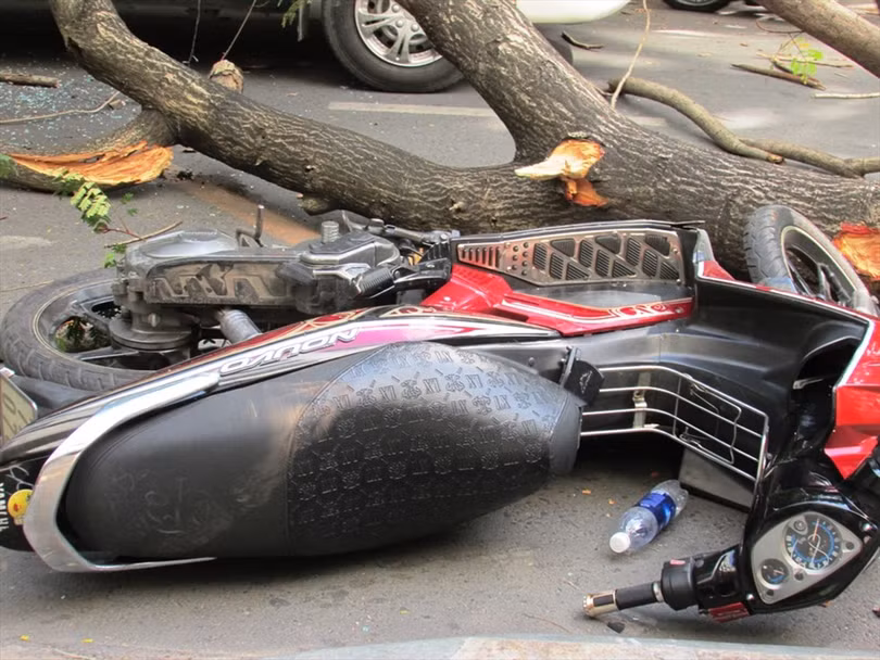 Nếu có gió to, bạn nên chuyển hướng sang các con đường ít cây xanh. Ảnh ST Nếu có gió to, bạn nên chuyển hướng sang các con đường ít cây xanh. Ảnh ST