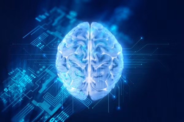 Điểm yếu của trí tuệ nhân tạo: Học mà không… hiểu - ảnh 4