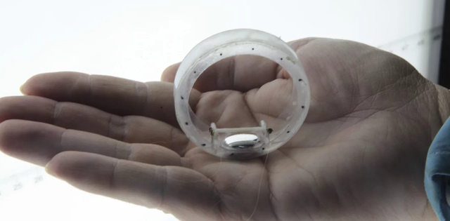 Robot lỏng có khả năng biến đổi hình dạng - Ảnh 2. Robot lỏng có khả năng biến đổi hình dạng - Ảnh 2.