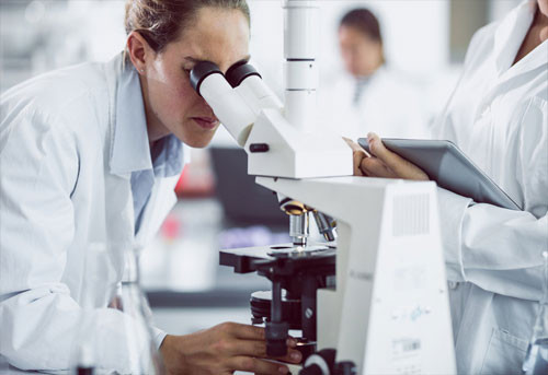 Nghiên cứu khoa học cũng... phân biệt giới tính? - 2