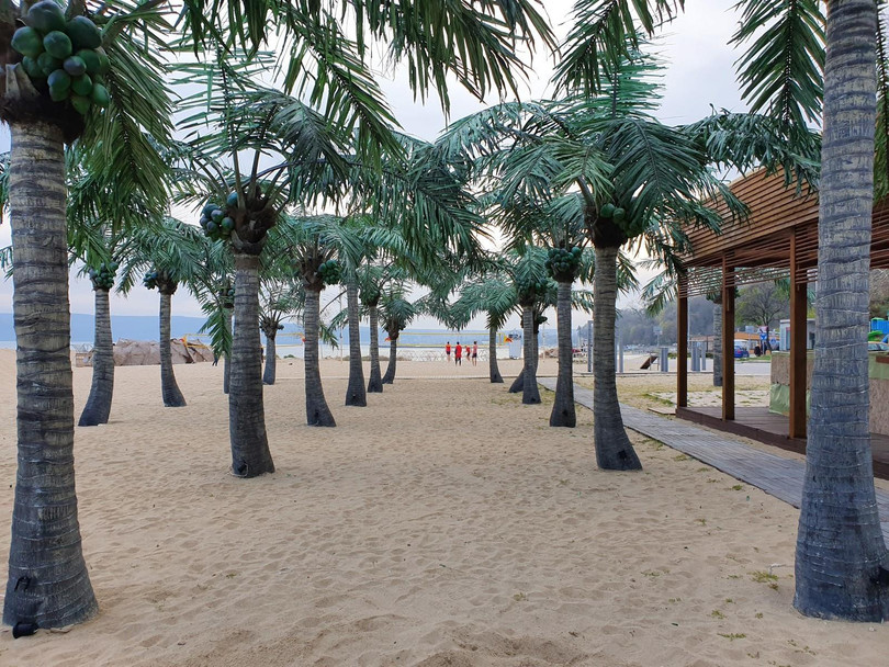 Galaxy S10+ Galaxy S10+