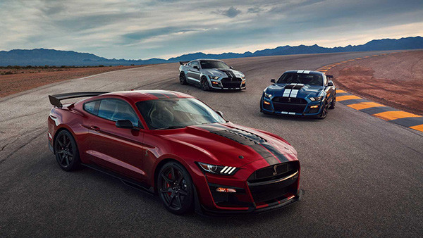 Mẫu xe Ford Mustang Shelby GT500 trên đường đua