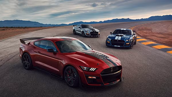 Mẫu xe Ford Mustang Shelby GT500 trên đường đua
