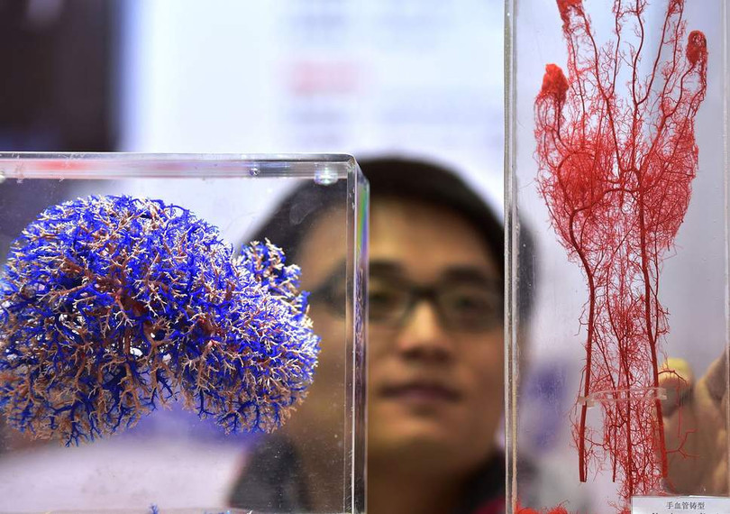 (ảnh: Independent)