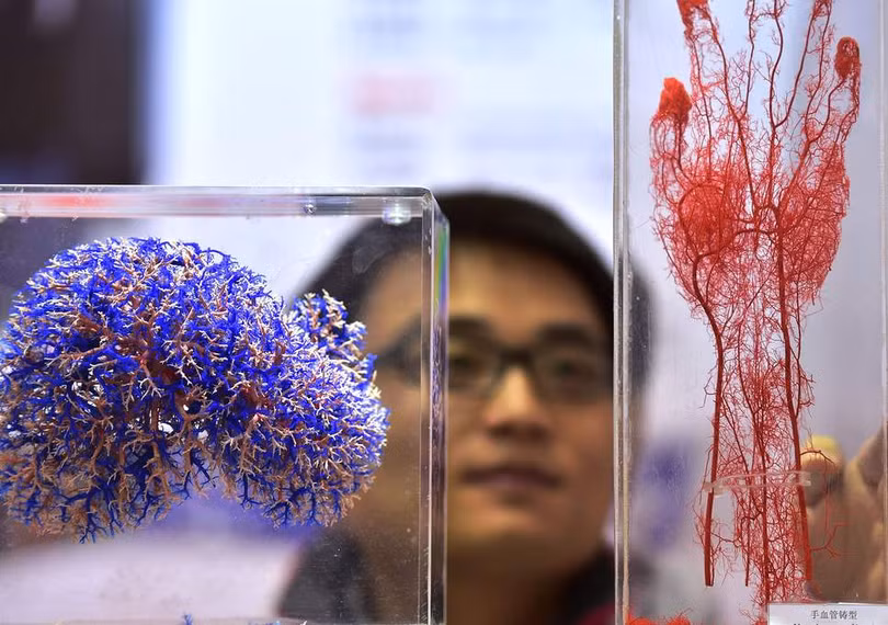 (ảnh: Independent)