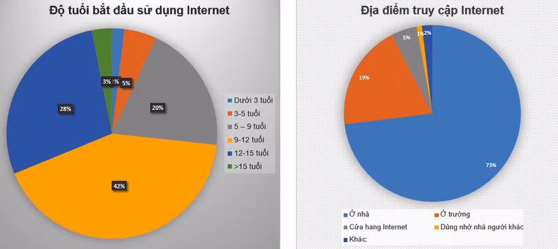 Thống kê độ tuổi thanh thiêu niên sử dụng Internet (Nguồn: Vietnet-ICT)