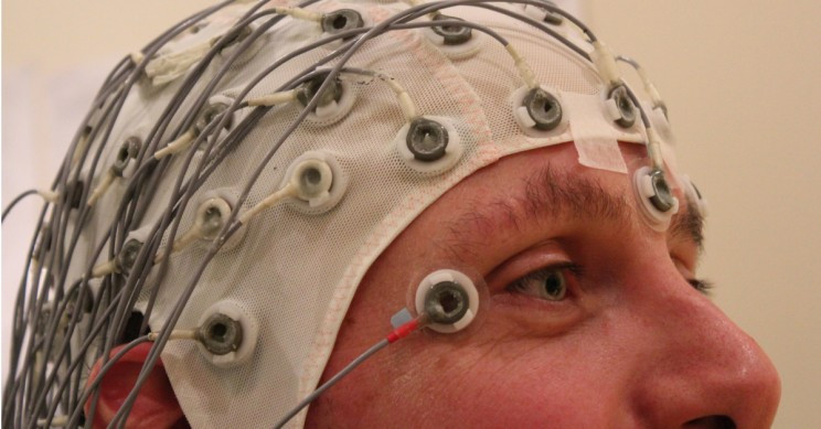 (ảnh: Chris Hope) (ảnh: Chris Hope)