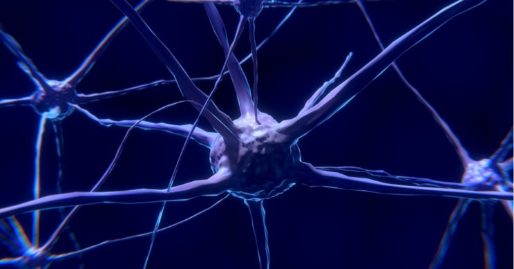 (ảnh: Pixabay) (ảnh: Pixabay)