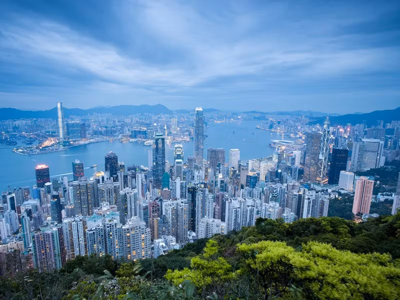 (ảnh Shutterstock)