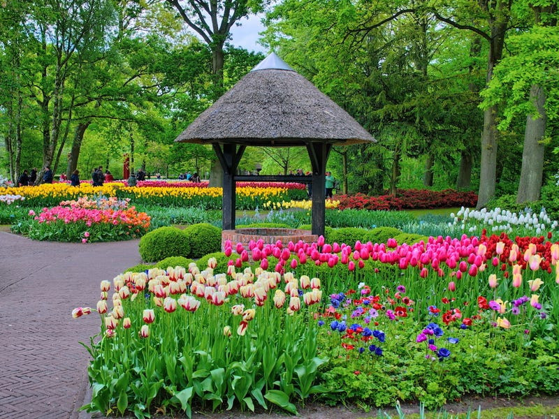 (ảnh: Shutterstock) (ảnh: Shutterstock)