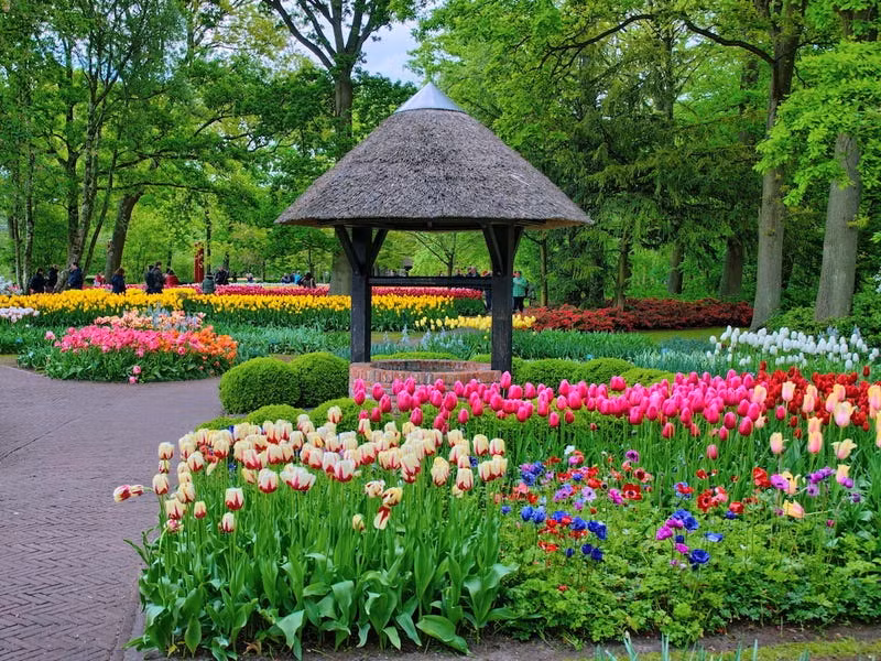 (ảnh: Shutterstock)