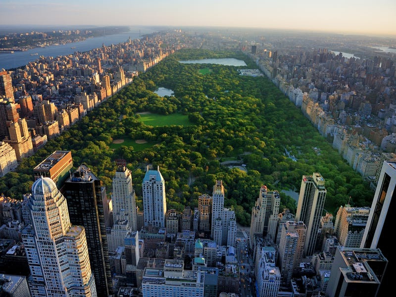 (ảnh iStock) (ảnh iStock)