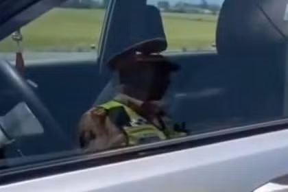 Không bằng lái, không giấy tờ, tài xế và chủ xe bị phạt hơn 118 triệu đồng