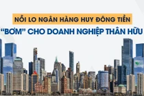 Mối liên kết nhiều lớp giữa VietABank và Việt Phương Group