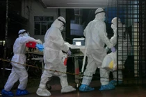 Virus Nipah cực nguy hiểm: Bộ Y tế khuyến cáo gọt vỏ trái cây trước khi ăn