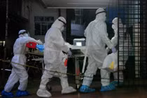 Cảnh báo virus Nipah nguy hiểm sau ca nhiễm tại Ấn Độ