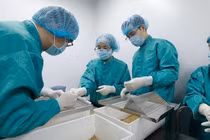 Cảnh báo nguy cơ thiếu thuốc trước biến động toàn cầu 