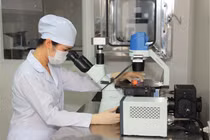 Sự thật ít ai ngờ: Không chỉ đủ dùng, thuốc Việt đang từng bước xuất khẩu