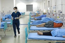 Cảnh giác với thực phẩm chứa độc tố tự nhiên dịp Tết