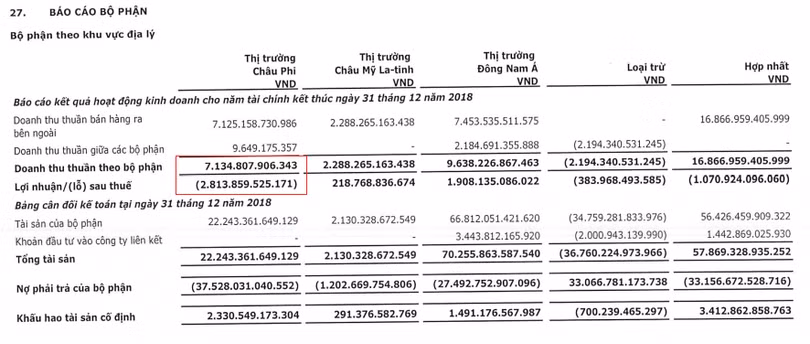 Thị trường Đông Nam Á đóng góp hơn một nửa vào doanh thu thuần của Viettel Global trong năm 2018 (Nguồn: VGI) Thị trường Đông Nam Á đóng góp hơn một nửa vào doanh thu thuần của Viettel Global trong năm 2018 (Nguồn: VGI)