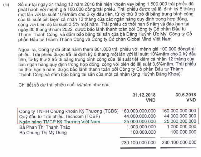 Giá trị các lô trái phiếu mà TTC Edu đã phát hành tính tới ngày 31/12/2018 (Nguồn: TTC Edu)