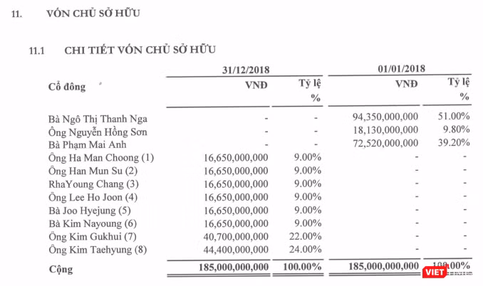 Cơ cấu cổ đông của Vina Securities tính đến thời điểm 31/12/2018 (Nguồn: Vina Securities) Cơ cấu cổ đông của Vina Securities tính đến thời điểm 31/12/2018 (Nguồn: Vina Securities)