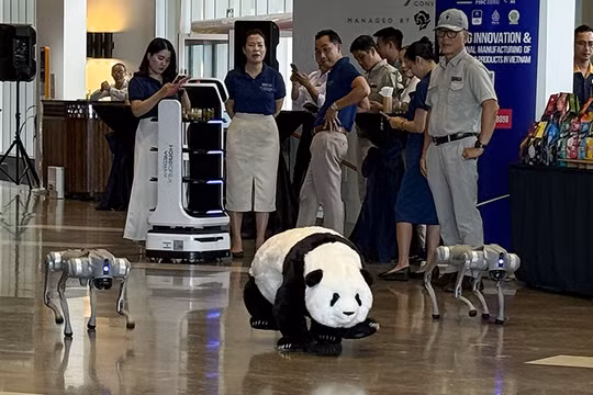 HORECFEX Vietnam 2026 sẽ quy tụ công nghệ kính thông minh Rokid, kính Meta Quest 3 và hệ sinh thái robot AI.Ảnh XM.