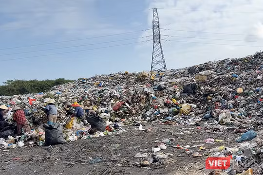 Bãi tập kết rác thải sinh hoạt Cẩm Hà (phường Hội An Tây, TP Đà Nẵng), nơi chứa rác cho cả TP Hội An đang quá tải nghiêm trọng.