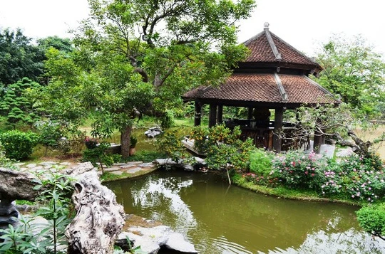 viettimes.vn