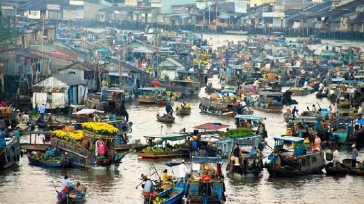 Các tỉnh Đồng bằng Sông Cửu Long đang phối hợp với nhau tốt hơn vì cùng đối diện với thách thức chung về biến đổi khí hậu. Ảnh: IE