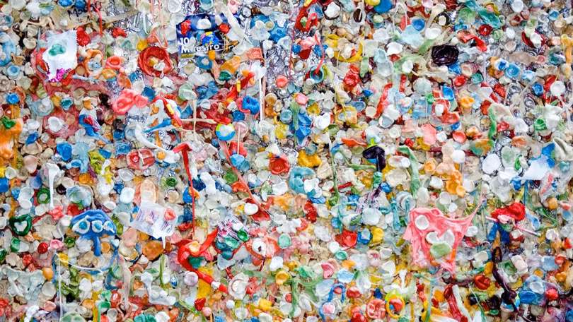 Những vi nhựa (Microplastics)