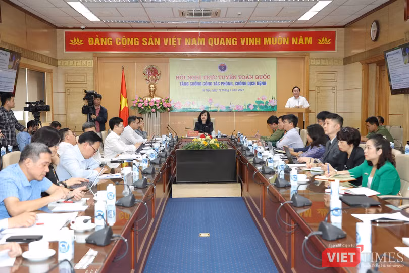 VT_ Họpa31.jpg