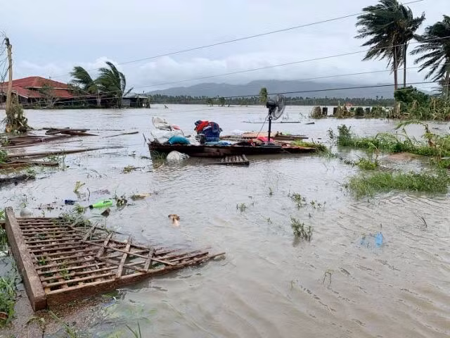 Bao-Molave-Philippin-02.jpg