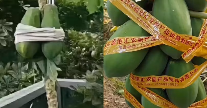 nguoi-dan-can-than-buoc-du-du-truoc-con-bao-07543161.png