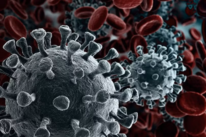 Virus Corona chủng mới (SARS-CoV-2) ngày càng lây lan mạnh trên thế giới (Ảnh: Đa Chiều). Virus Corona chủng mới (SARS-CoV-2) ngày càng lây lan mạnh trên thế giới (Ảnh: Đa Chiều).