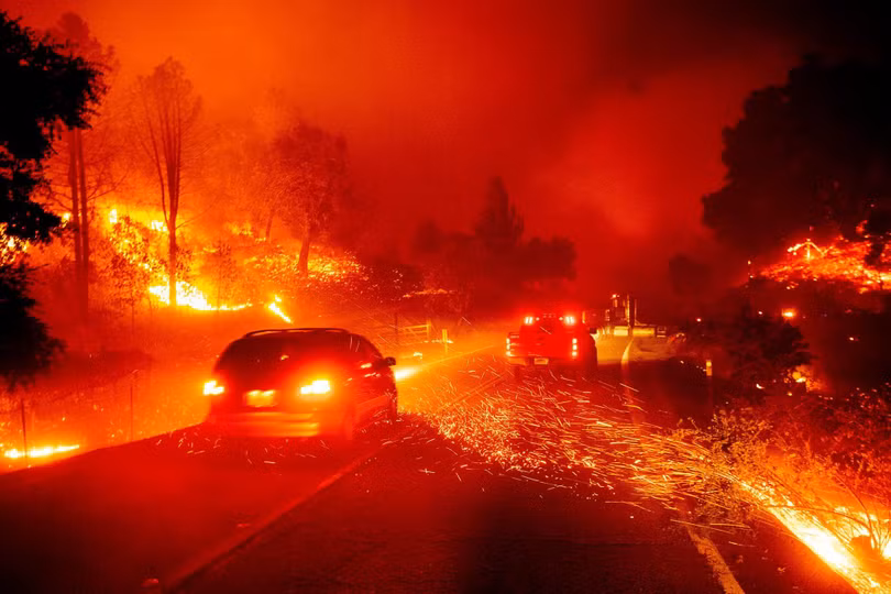Cháy rừng tại California. Ảnh: AP