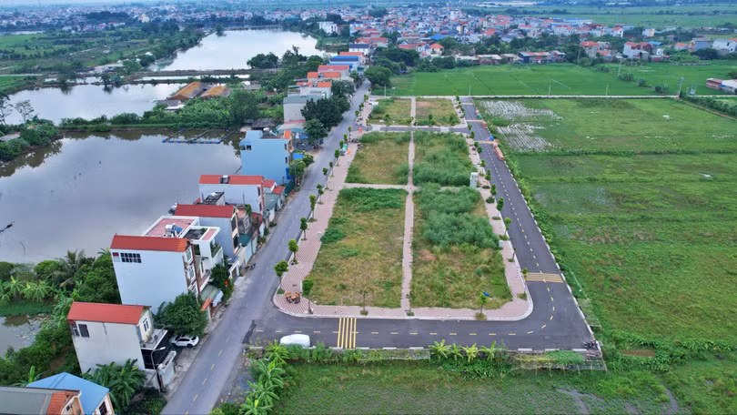 Hà Nội sẽ công khai danh sách người trúng đấu giá đất rồi bỏ cọc. (Ảnh: Lệ Chi)