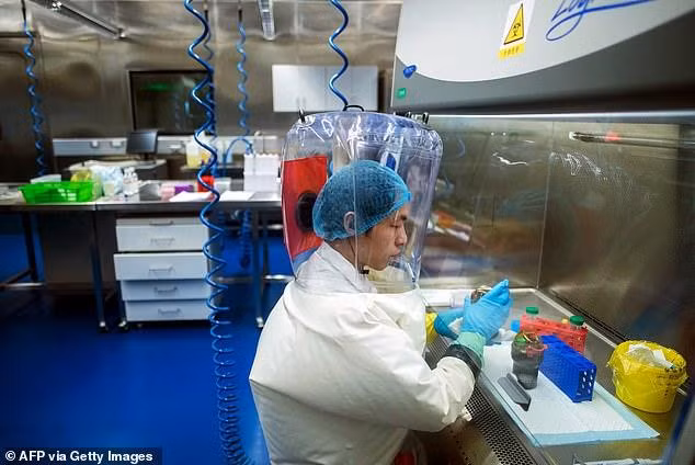 Các nhà khoa học Viện Virus Vũ Hán nghiên cứu trong phòng thí nghiệm P4 (Ảnh: Getty). Các nhà khoa học Viện Virus Vũ Hán nghiên cứu trong phòng thí nghiệm P4 (Ảnh: Getty).