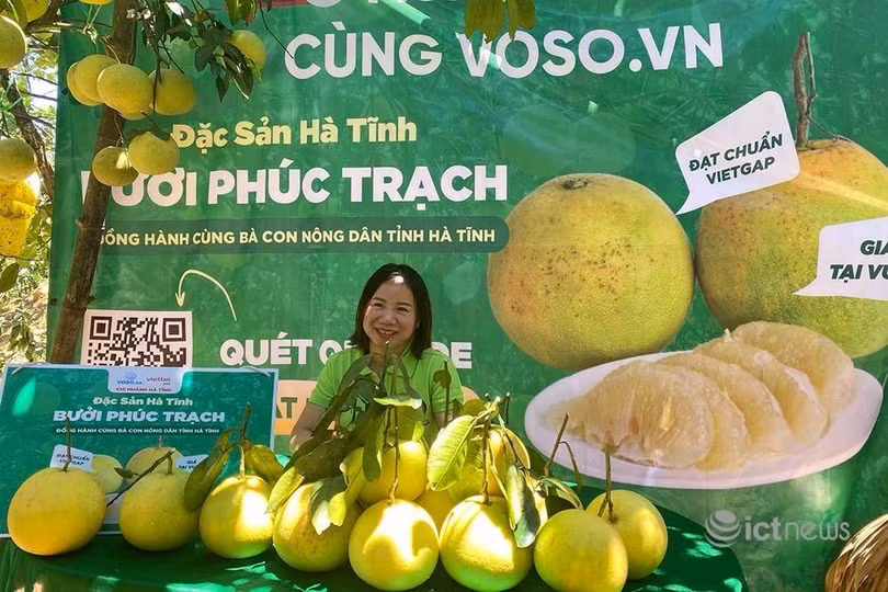 Bưu chính livestream bán thực phẩm, hàng thiết yếu cho người dân các vùng dịch ảnh 2