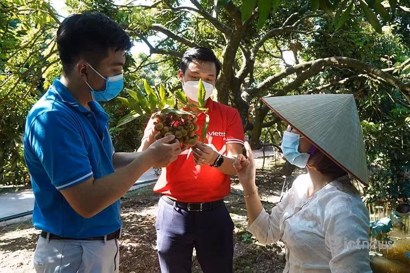 Hai doanh nghiệp linh hoạt trong việc chọn hình thức hướng dẫn nông dân lên kinh doanh trên sàn. Hai doanh nghiệp linh hoạt trong việc chọn hình thức hướng dẫn nông dân lên kinh doanh trên sàn.